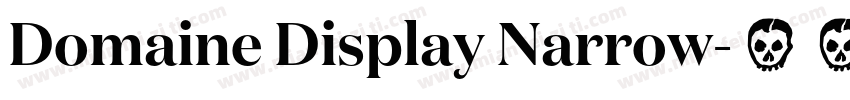 Domaine Display Narrow字体转换